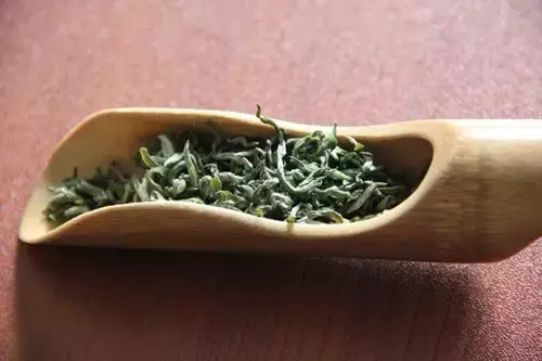 茶之本茶之初茶之源，绿茶的15个硬知识！