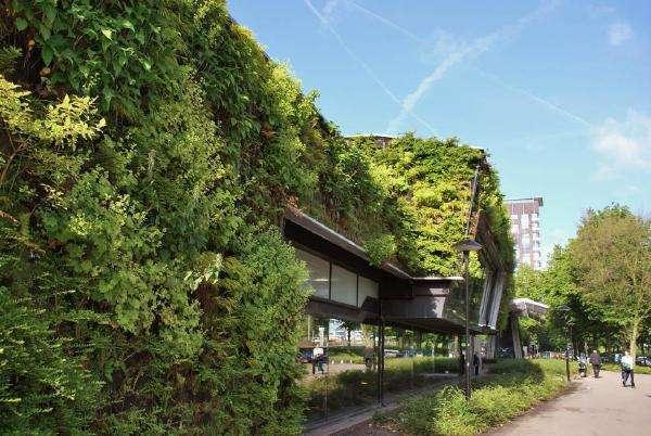 与植物共生，城市建筑开始流行“立体绿化”