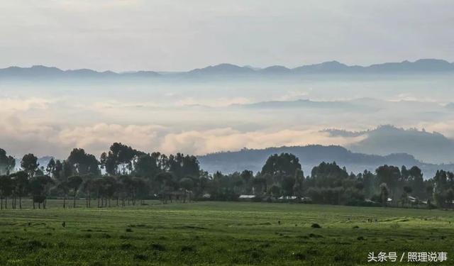 还记得卢旺达悲剧吗？如今这个国家被誉为非洲的“新加坡”！