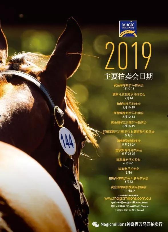 “神奇百万黄金海岸2岁在训马拍卖会”与你相约国庆后