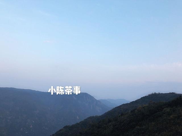 出门在外，怎么泡茶比较好？分享四种国庆节常用旅游喝茶方法！