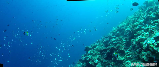 东南亚最具创造力的初创企业聚首世界经济论坛，有哪些惊人创举？