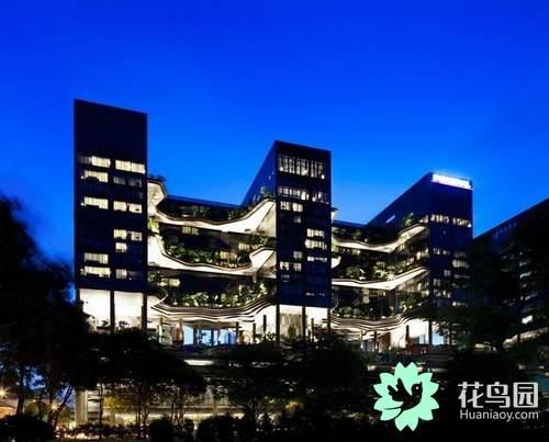 被绿色包围的“花园酒店”