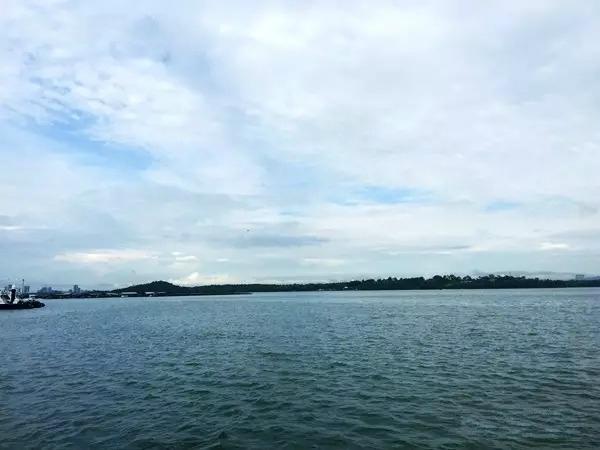 言植空间，植物科普，2016印新自然之旅-新加坡双溪部落湿地