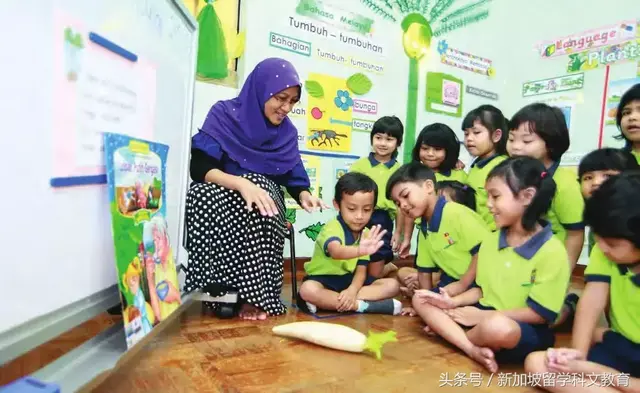新加坡留学｜你需要了解的新加坡幼儿和小学阶段教育体系
