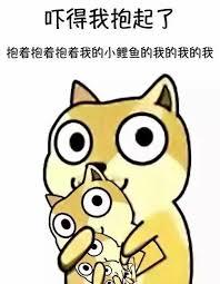 为什么新加坡能成为上帝的宠儿，少有天灾？