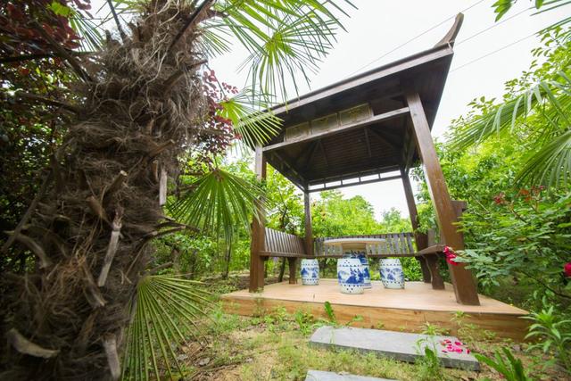 台湾华扬龙生携旗下知名品牌恒利康酵素，邀请您参加第七届中国（上海）国际养生食品博览会