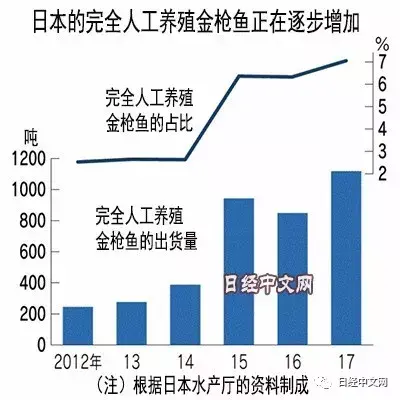 日本完全人工养殖金枪鱼瞄准海外餐桌