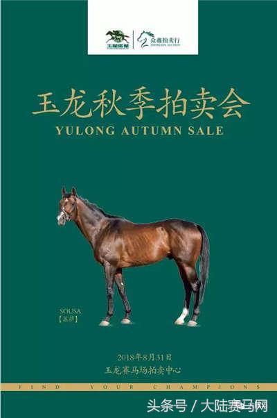 玉龙秋季拍卖会8月31日开拍！全国26家马商呈献174匹拍售马