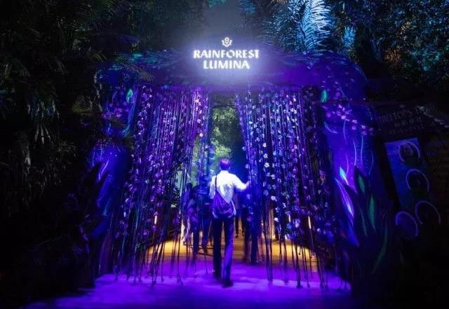 夜游新加坡动物园，来场刺激的雨林探险吧！CHEERLAB