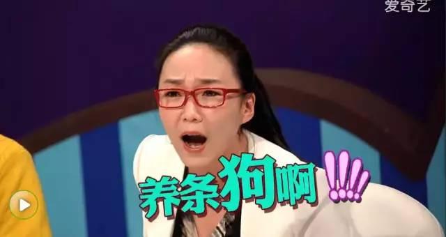 红到第五季，国产综艺我只吹这一部