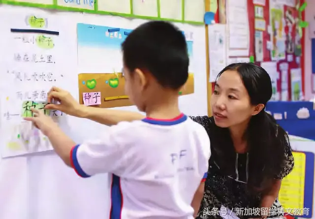 新加坡留学｜幼儿园留学申请的注意事项，家长须知~