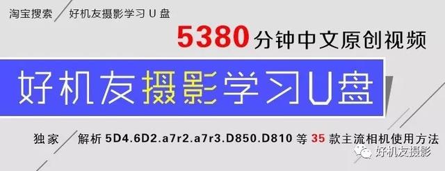 「微距摄影」微距摄影有哪些注意事项？13条微距拍摄建议助你出片！