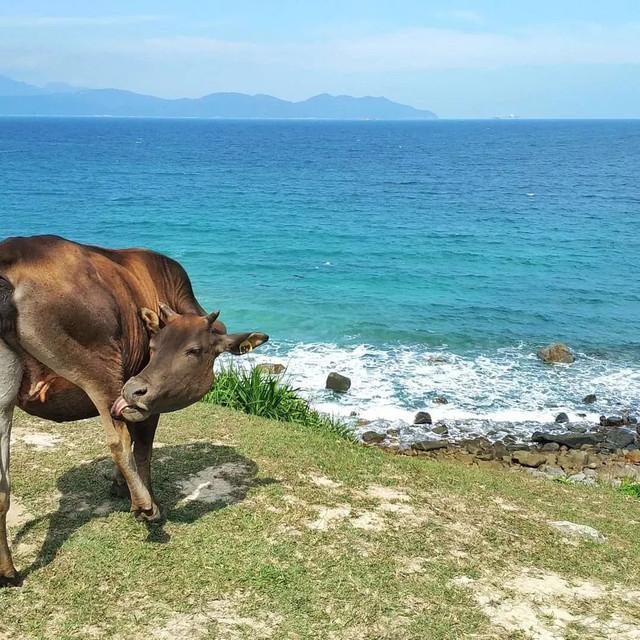 这个美食宝地不光有价廉物美的海鲜排档，这里原来还是“上山下海”的隐世天堂！