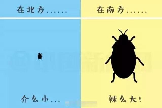 南方人吐槽：北方人别说北方啥都大了，南方的蟑螂大到吓死你！