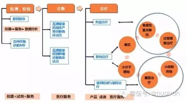 行业报告｜中国医药行业研究报告