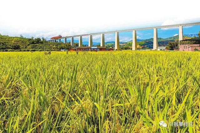 “英雄攀枝花·阳光康养地”敞开胸怀，南向逐梦