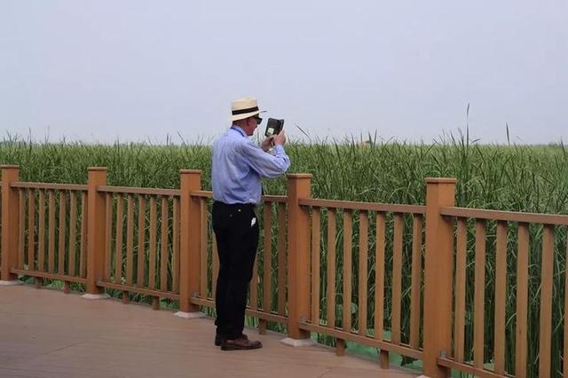 重磅！谁在为雄安38平方公里启动区“设计方案”？