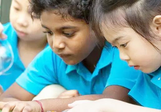 低龄留学天堂，新加坡的幼儿园制度！