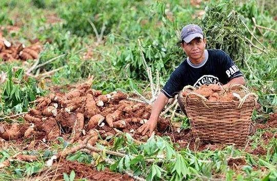 除了中国之外，您还知道哪些国家过中秋节？八一八各国的中秋习俗