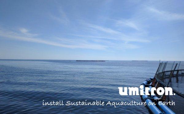 Umitron的早期融资增至1520万新元