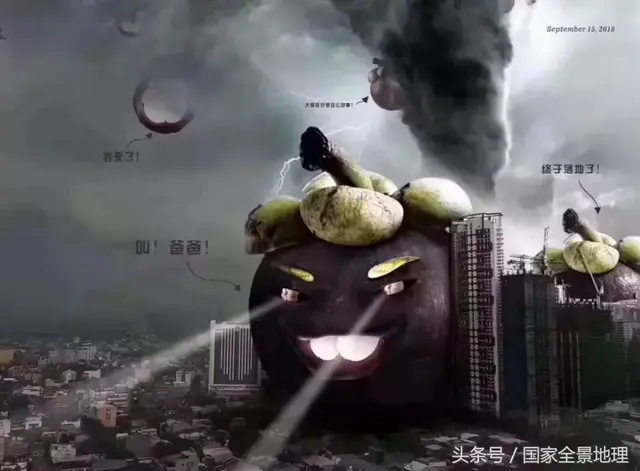 “山竹”凶猛，但还有N多“风王”笑而不语