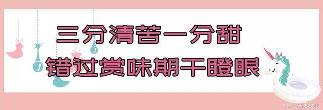 脏脏冰淇淋来了！全球街拍新宠，10层惊喜，口口不同！