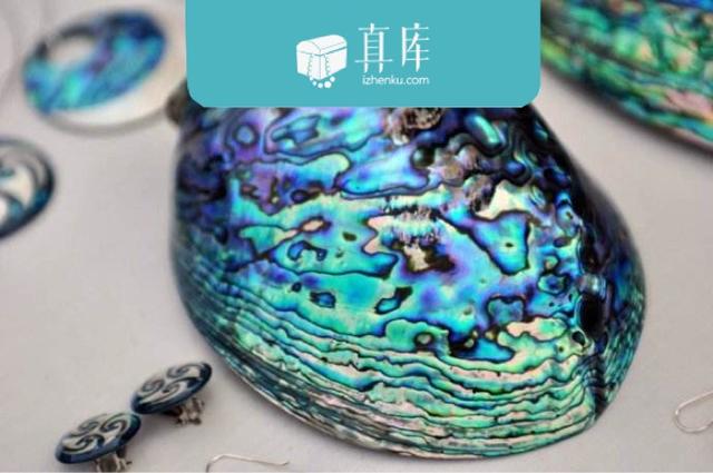 鲍中珍宝——鲍鱼珠