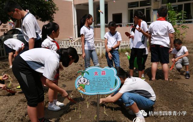 有朋自远方来不亦乐乎：新加坡军港小学师生来我校回访游学