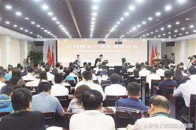 华扬龙生 占领中国酵素产业高地——中国酵素产业发展研讨会侧记