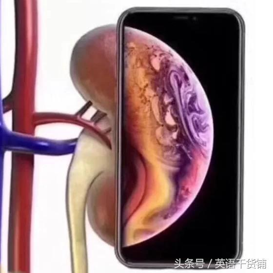 iPhone XS又贵信号又差连老外都坐不住了，来看他们怎么吐槽