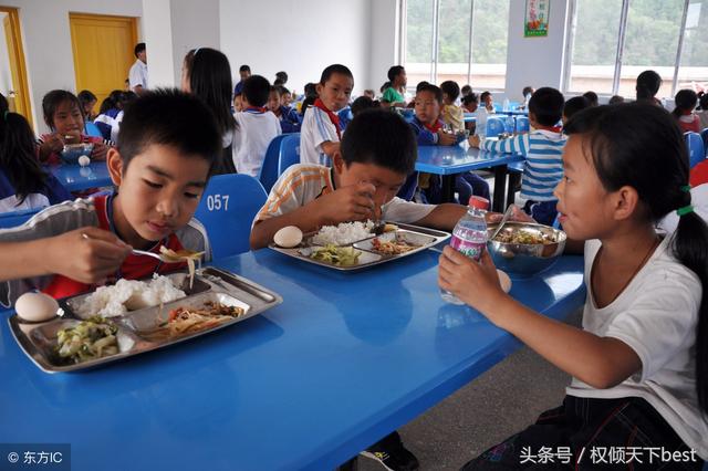 放眼全球，对比看看其他国家的中小学生午餐都吃什么？