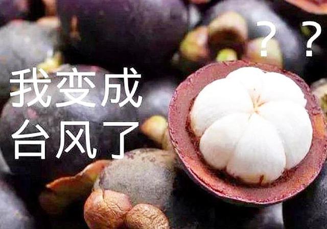 “山竹”被除名，仍将由泰国推荐新名字 网友：别再取热带水果了