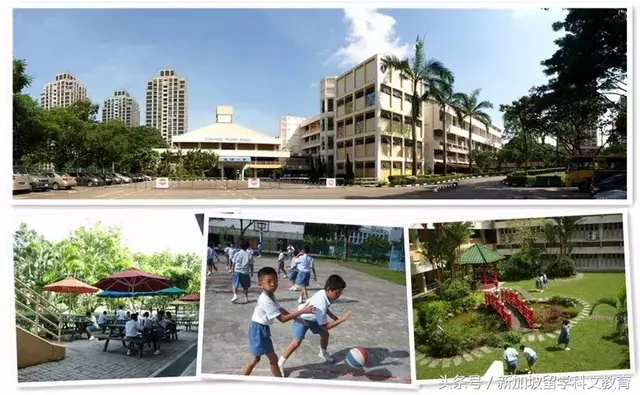 新加坡教育｜新加坡多动儿如何上学？