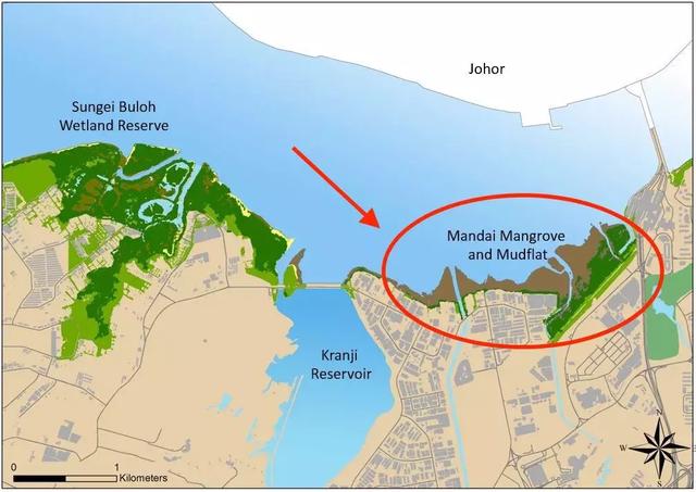 新加坡要新开一个有红树林和滩涂的公园，遛娃、徒步、赏鸟好去处