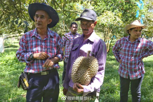 畅游泰国60小时——榴莲美食之旅