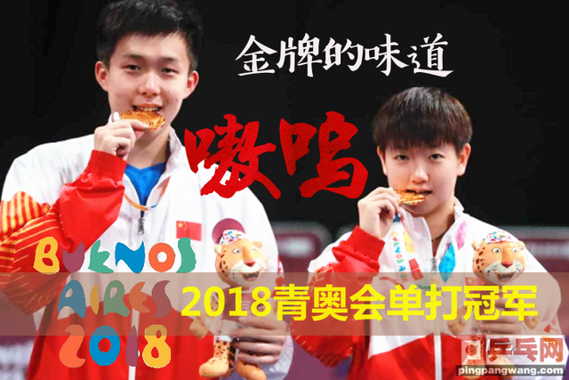 2018青奥会平野美宇创日本记录，张本智和梦碎一半，大头莎夺双冠