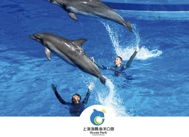 鲸豚表演遭网友大声讨 我们该抵制海洋馆吗