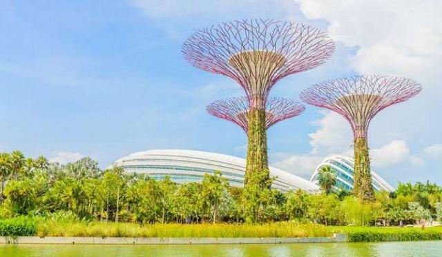 世界之旅：盘点新加坡自然爱好者的热门目的地！