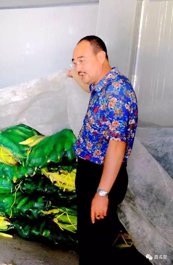 扶贫｜点赞！酉阳女婿带领群众种玉米，产品卖到新加坡