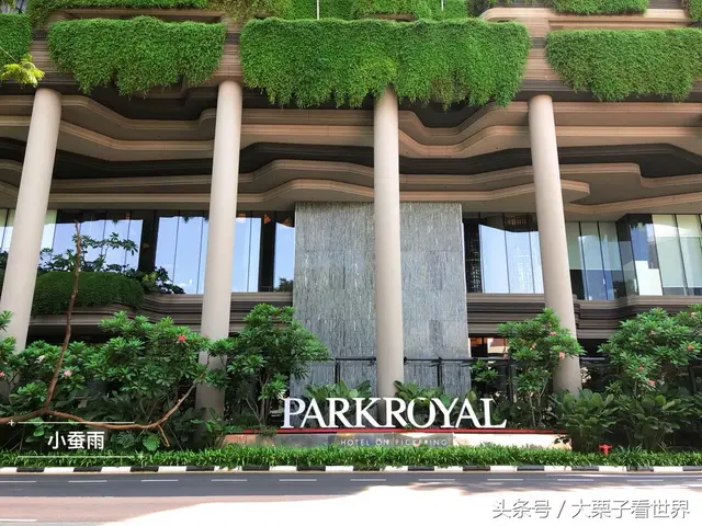 去新加坡你还在为订不到金沙而犯愁？这里才是网红聚集地！