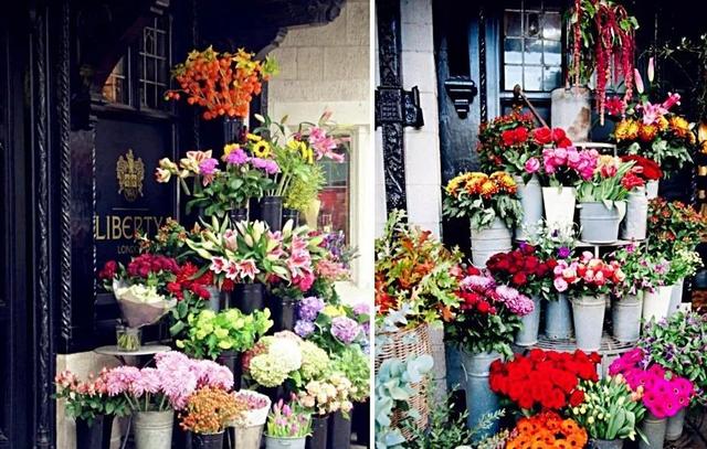 如果你也想开一家花店……