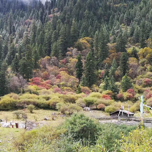 达古冰山景区 2018年“十·一”黄金周首日接待人次创新高