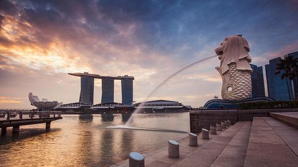 80余家新加坡企业将组团参加首届中国国际进口博览会