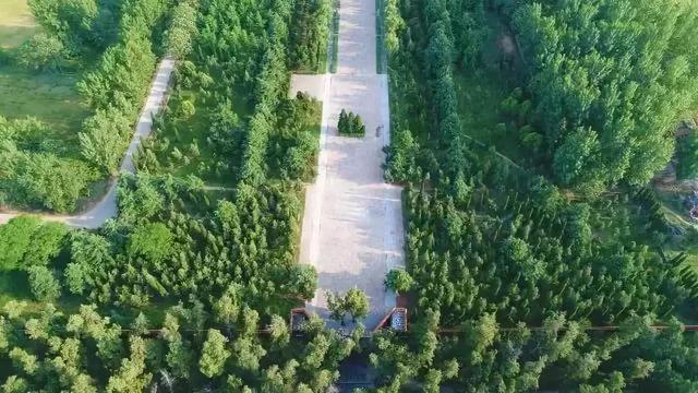 重大福利！洛阳人的身价要涨！这么多景区免费、半价玩！不去就亏大了！