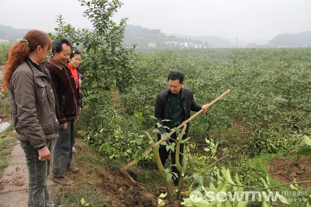 李国华：情牵故里，带动1.7万户农民致富