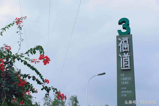有“福”之州有条“福道”，开创中国钢架悬空栈道先河