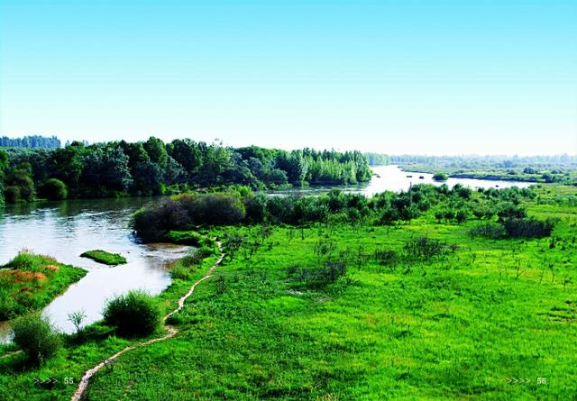 沙漠中挺起不屈的“绿色脊梁”——民勤县开展生态文明建设纪实