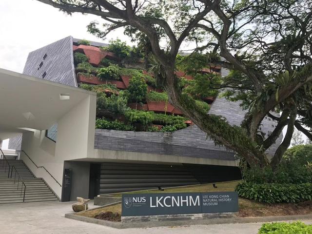 山东省有哪些学校拥有新加坡SM2项目考试名额