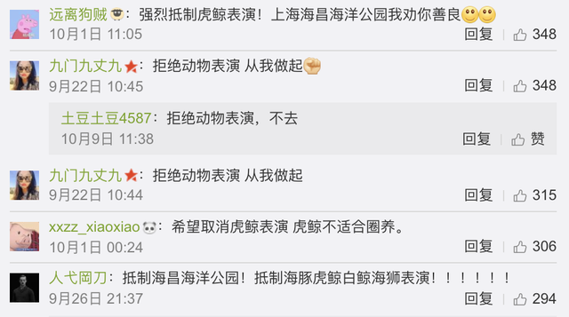 鲸豚表演遭网友大声讨 我们该抵制海洋馆吗